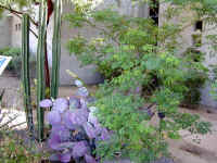 Arizona Vacation 10-09-00 002.jpg (76229 bytes)