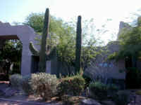 Arizona Vacation 10-09-00 003.jpg (48022 bytes)